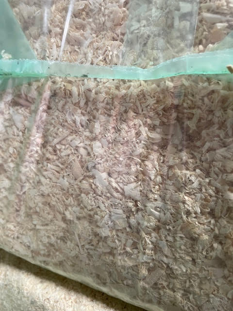21KG PINE SOFTWOOD SHAVINGS / HORSE BEDDING BALES - £8.50 EACH